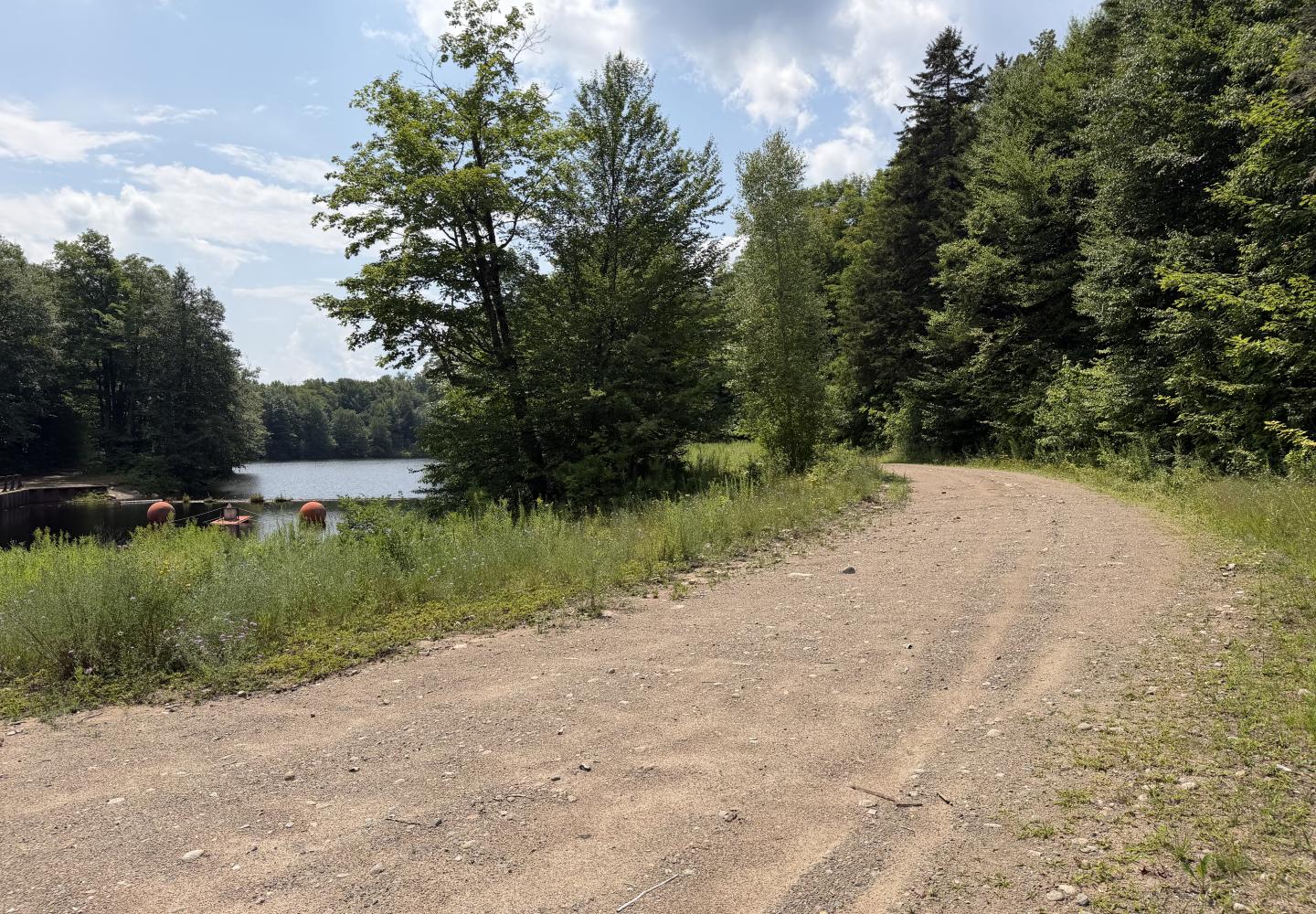 This dirt road on the north shore of Lows Lake is suitable for gravel biking, but whether cyclists will be allowed is in doubt.