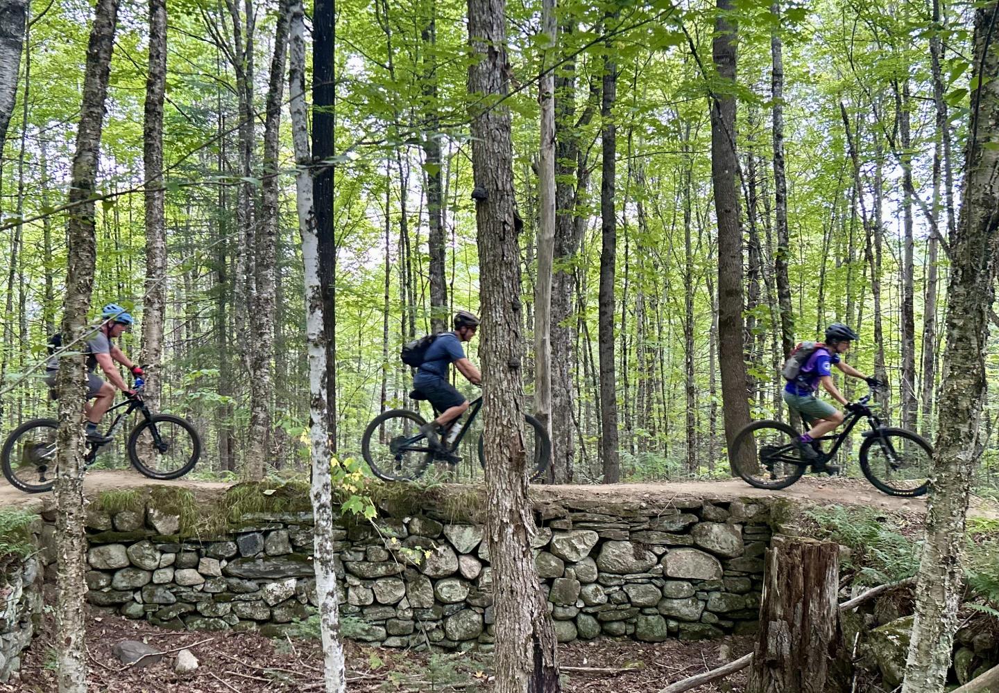 Search Adirondack Mountain Bike Networks with BikeADK's free search tool.