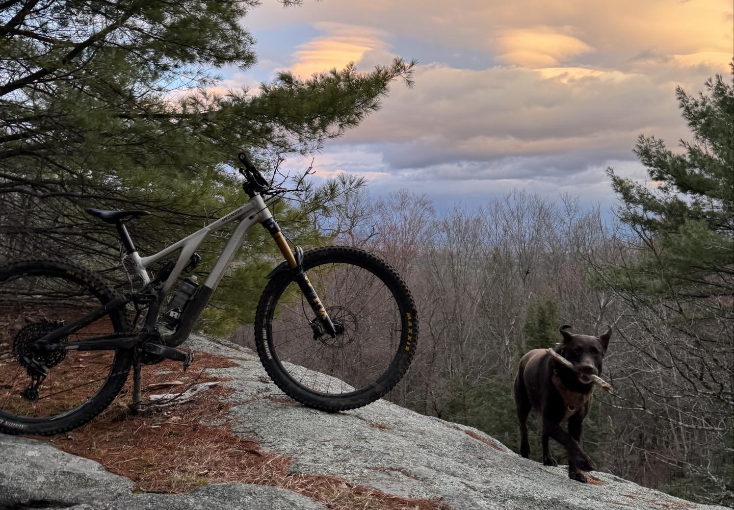 Noob lookout on the Saratoga Mountain Bike Association network.