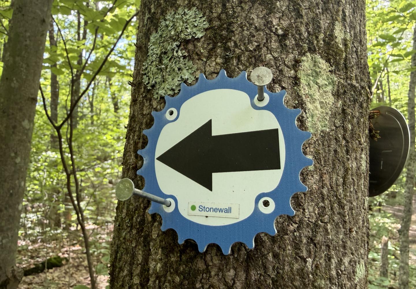 The 523-acre state forest, located in northern Saratoga County, is known for old-school, hand-made trails with many technical challenges. 