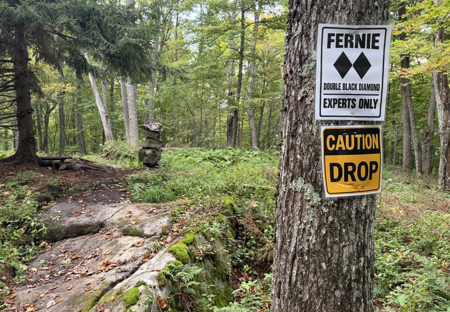 The start of the new Fernie trail at Dewey Mountain in the Town of Harrietstown.