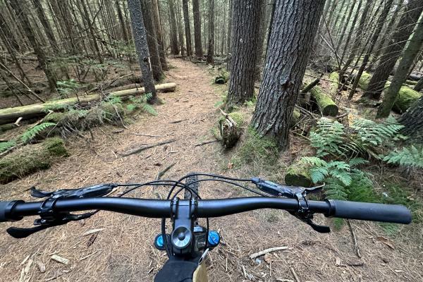 The Adirondack Rail Trail connects five different singletrack networks in Saranac Lake