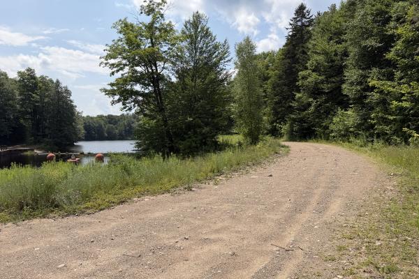 This dirt road on the north shore of Lows Lake is suitable for gravel biking, but whether cyclists will be allowed is in doubt.