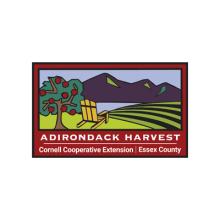 Adirondack Harvest Festival